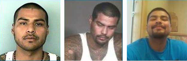 Reward offered in search for suspect in aggravated assault